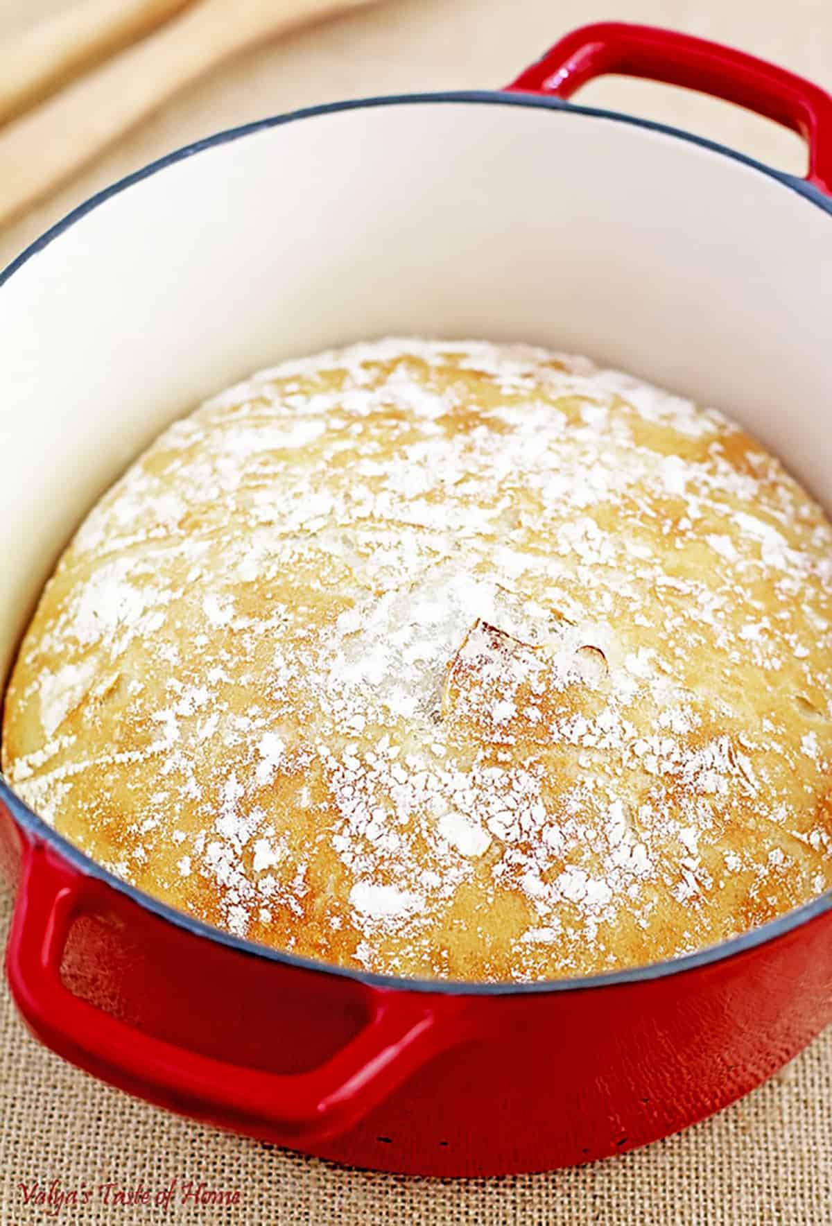 Bread making is a kind of art, I would say. There’s a certain kind of feeling of satisfaction you get when your work turns out a fantastic loaf of bread that everyone enjoys. Beautiful and wonderful tasting. Making this absolutely delicious and unique Dutch Oven White Crusty Bread Recipe in a cast iron pot is fairly simple. 