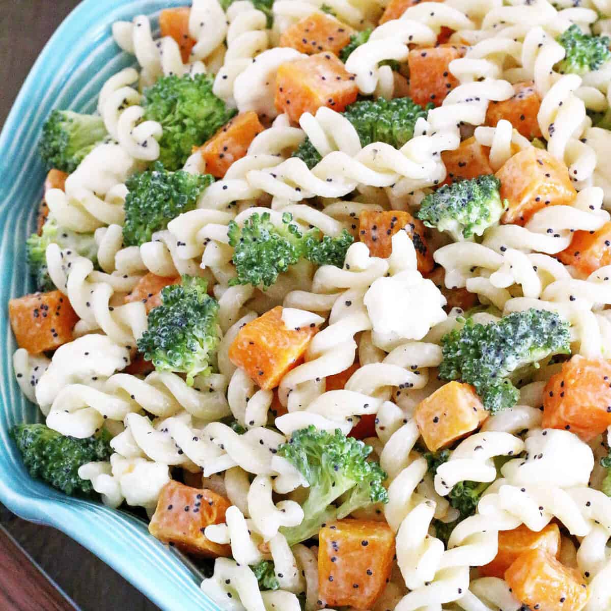 This make-ahead and crowd-pleasing Butternut Squash Pasta Recipe is ideal for Thanksgiving, and features the perfect fall flavors that everyone will love!