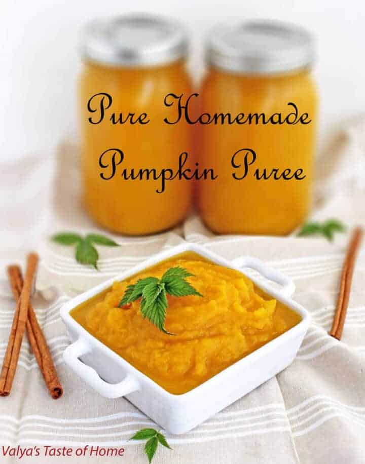 Top 10 Pumpkin Fall Recipes - Valya's Taste of Home