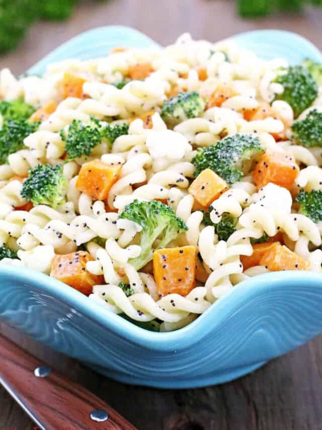 Creamy Butternut Squash Pasta Story Valya s Taste Of Home creamy-butternut-squash-pasta-story-valya-s-taste-of-home