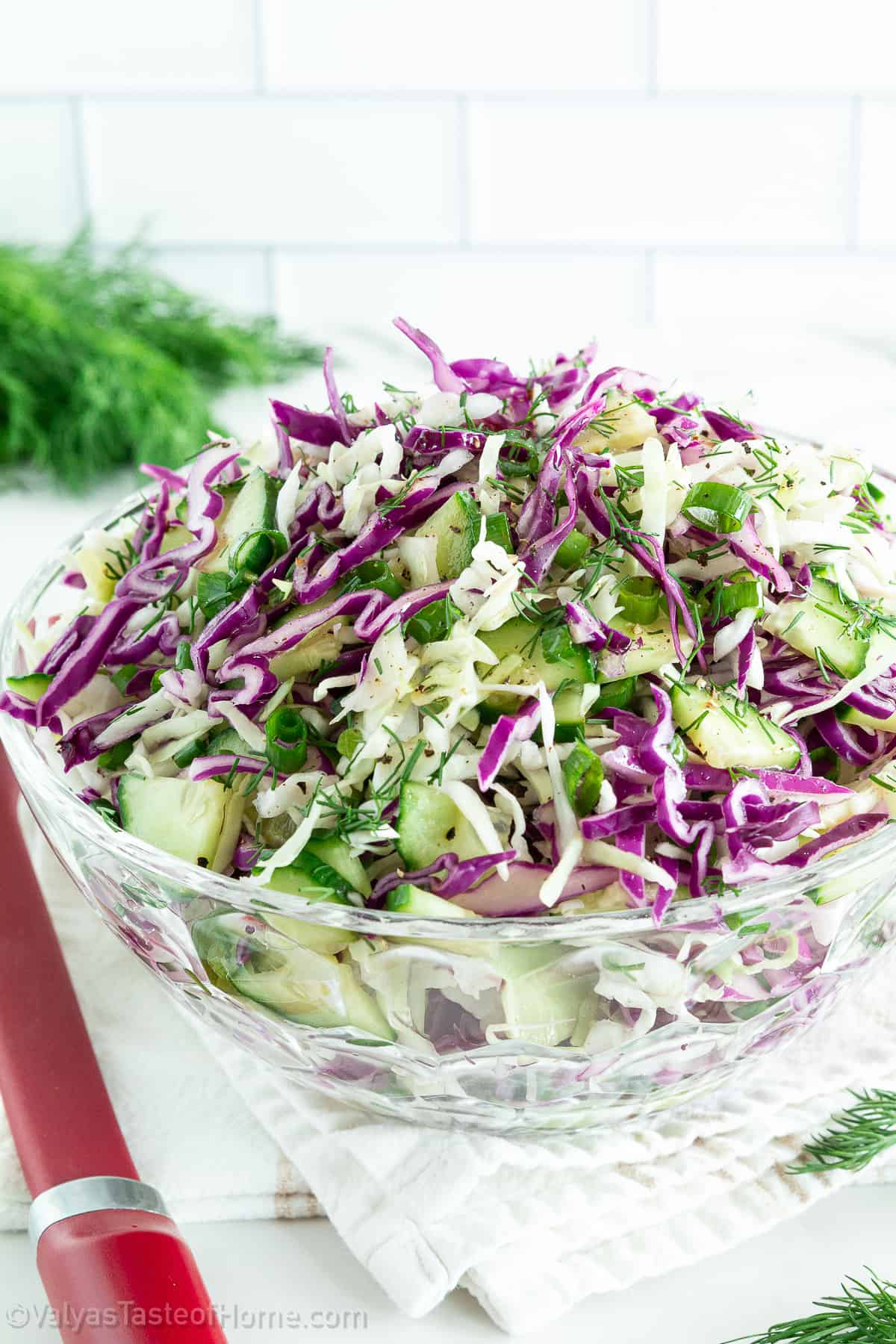 With bright flavors, a zesty kick from lemon juice, and packed with red cabbage goodness, this salad is absolutely perfect.