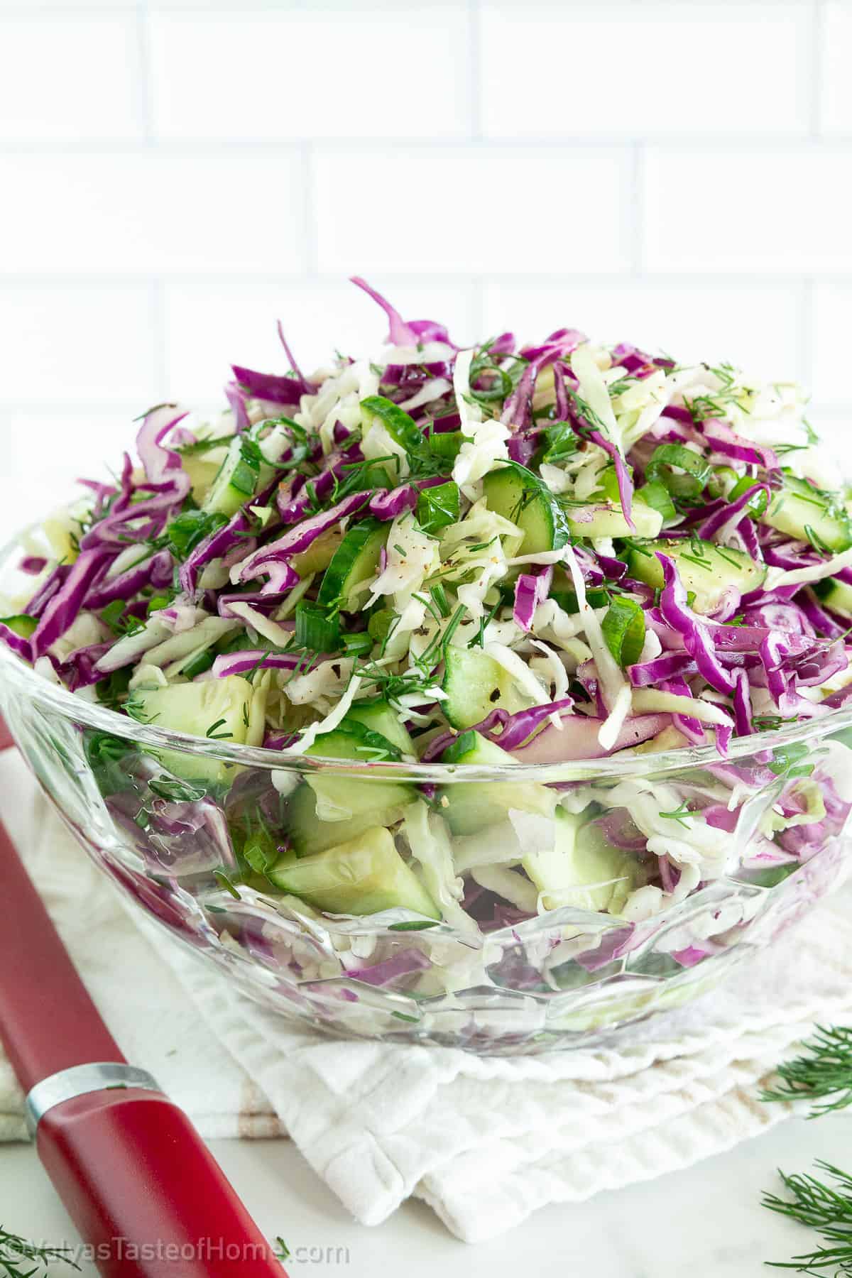 salad packed with flavor and is also easy to make. As the name suggests, it has shredded cabbage that soaks up in a delicious salad dressing to give you an unforgettable flavor.