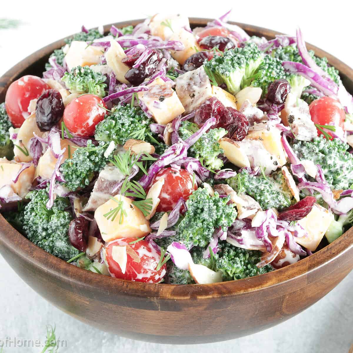 Salads are one of the best go-to dishes for those looking for a nutritious meal. Not only are they usually delicious, but they also provide us with essential vitamins and minerals.