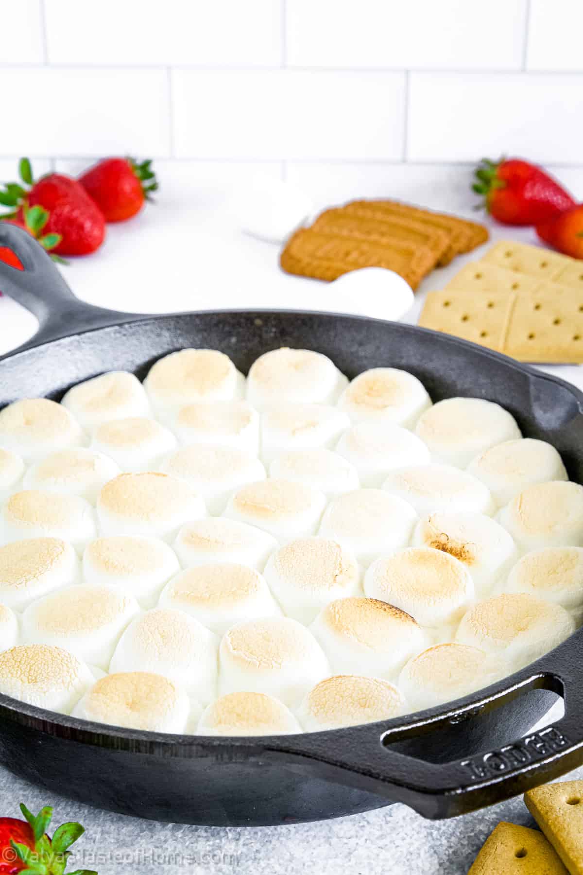 This Smores Dip features an irresistible combination of rich chocolate, gooey marshmallows, and the satisfying crunch of graham crackers.