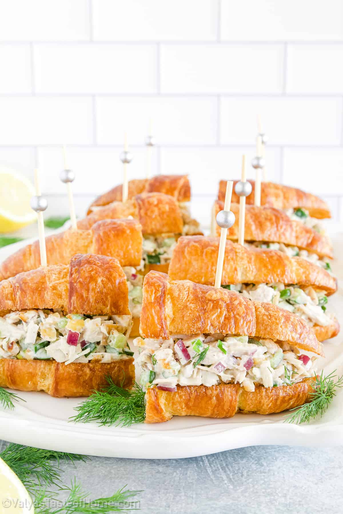 Whether you’re looking for a healthy lunch or a light dinner, salad is sure to impress.