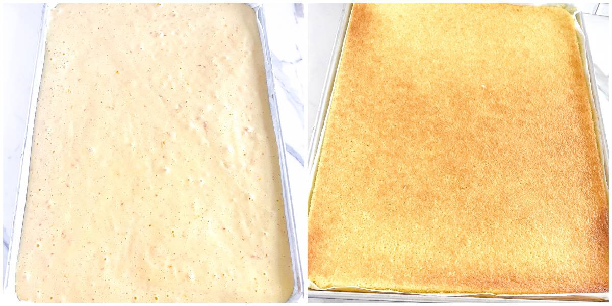Pour the prepared cake batter into the greased and lined cake pan. Let it bake in your preheated oven for about fifteen minutes.