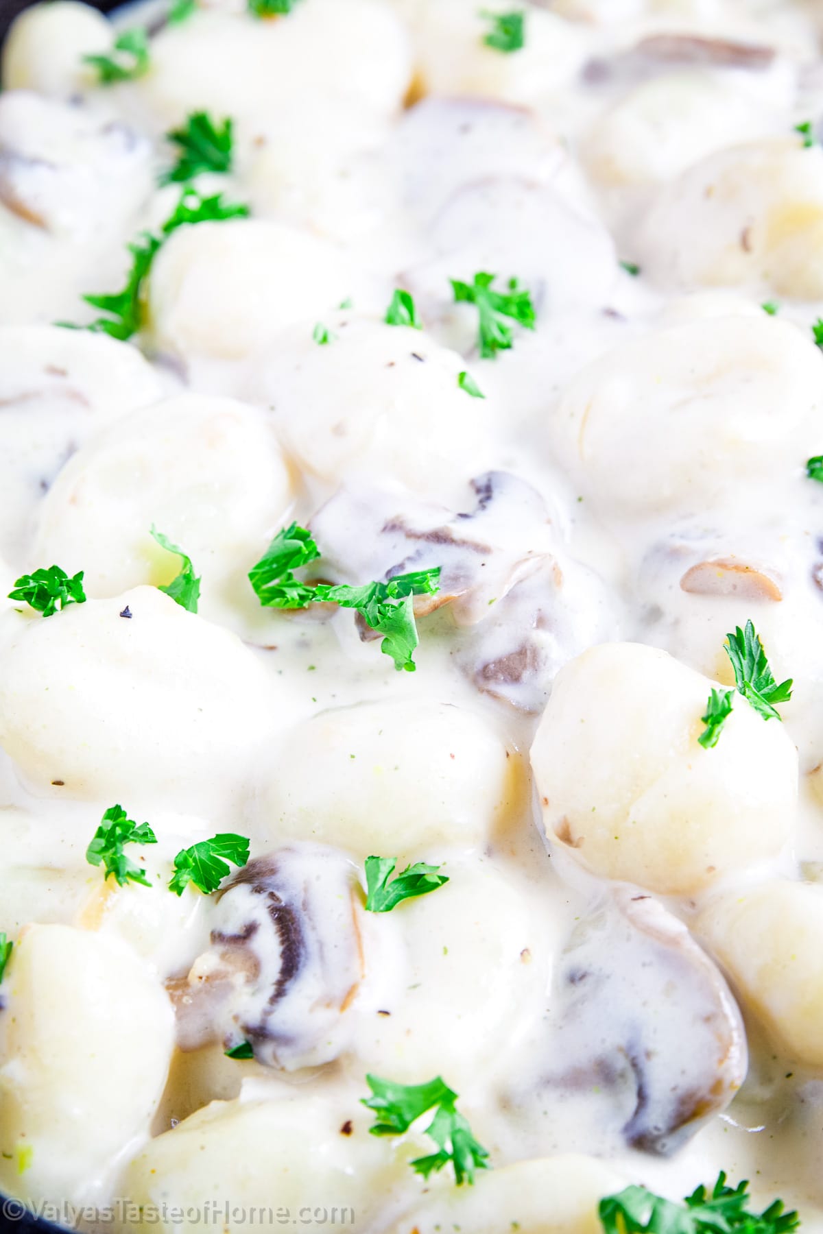 The combination of the soft, pillowy gnocchi and the tender, flavorful mushrooms, all smothered in creamy sauce, is simply irresistible.